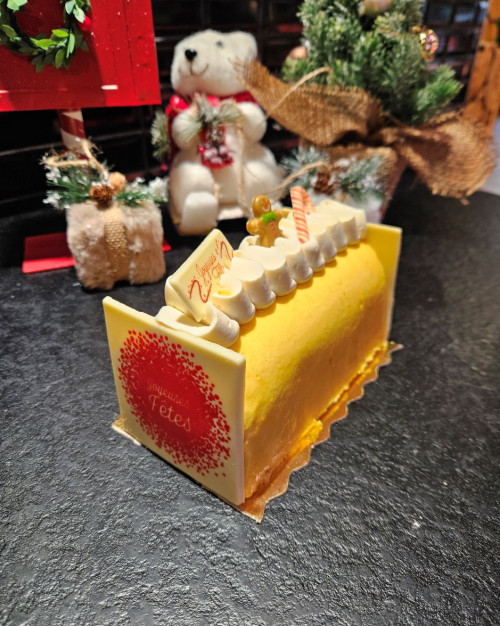 Bûche Passion des îles