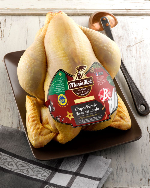 Chapon Label Rouge jaune Marie Hot